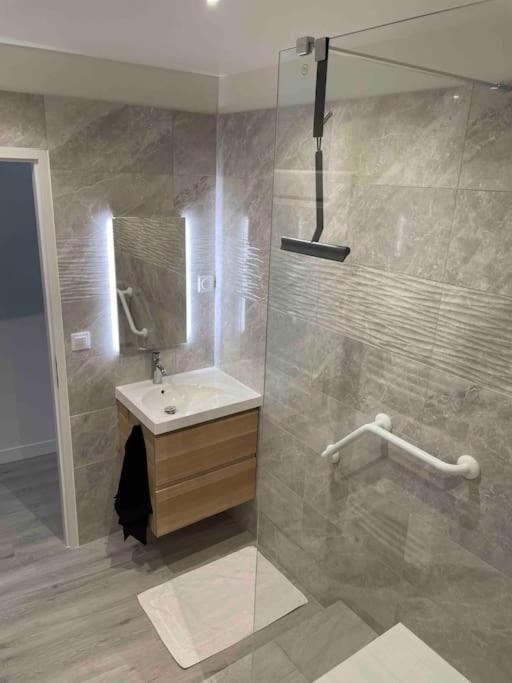 Superbe Appartement A La Croisee Des 4 Chateaux Lignières-de-Touraine エクステリア 写真